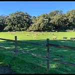 Hétvégi ház Rurales Escobar & Jerez Valencia de Alcántara