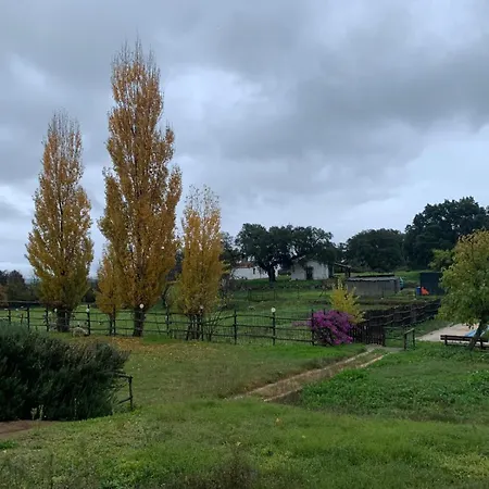 Rurales Escobar & Jerez